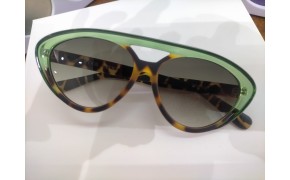 Jungle Vision